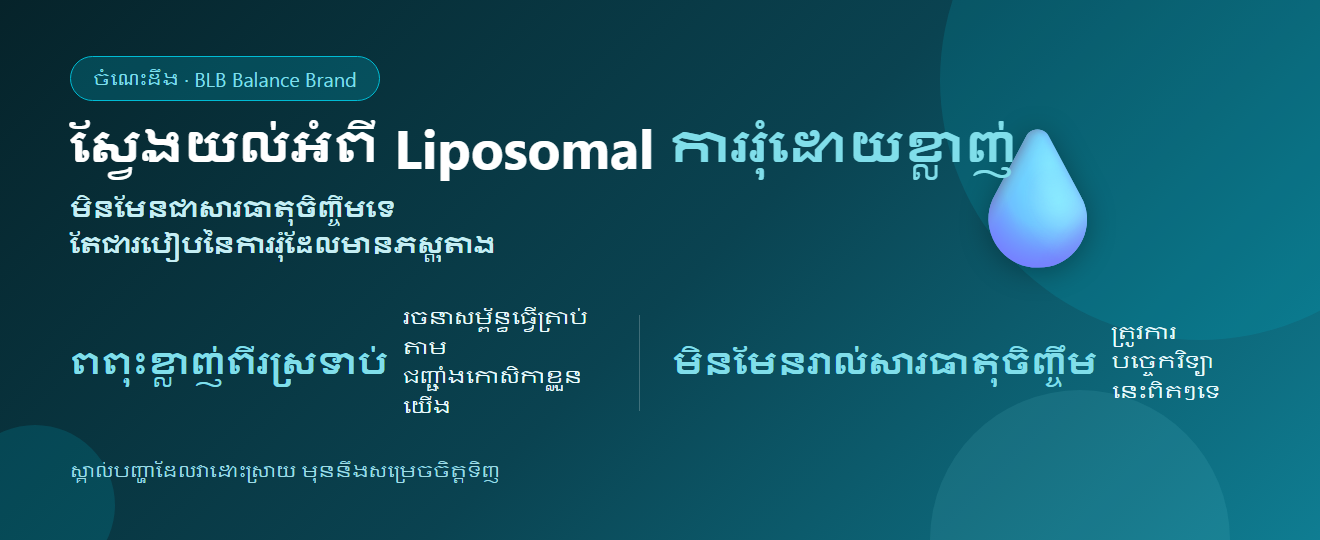 Liposomal គឺជាអ្វី? ស្វែងយល់ការរុំសារធាតុចិញ្ចឹមដោយខ្លាញ់ | BLB