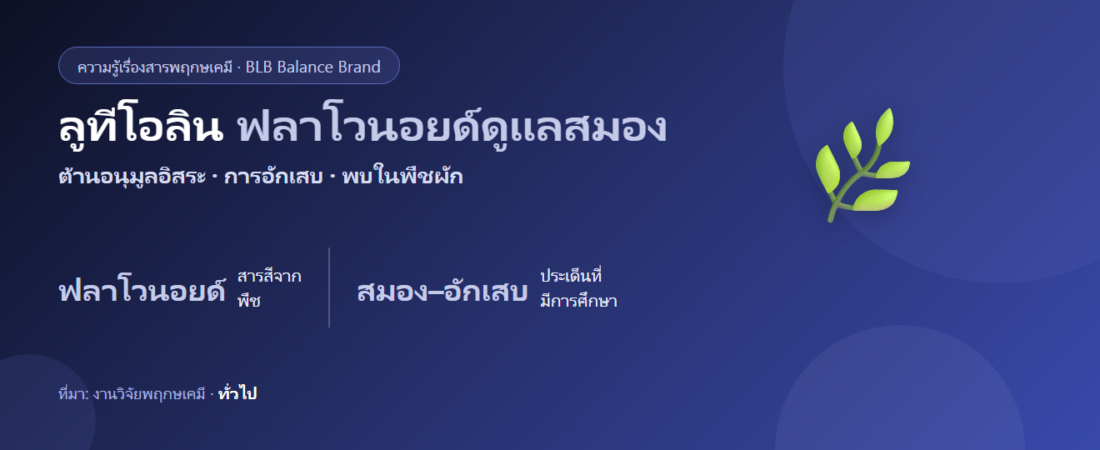 ลูทีโอลิน คืออะไร? ฟลาโวนอยด์ต้านการอักเสบ–ดูแลสมอง ในผัก–สมุนไพร