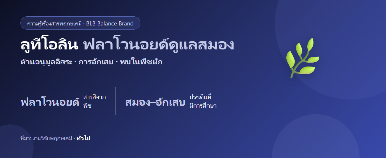 ลูทีโอลิน คืออะไร? ฟลาโวนอยด์ต้านการอักเสบ–ดูแลสมอง ในผัก–สมุนไพร