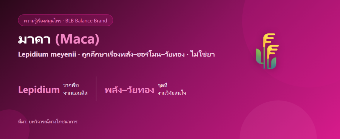 มาคา (Maca) คืออะไร? พืชแอนดีสที่ถูกศึกษาเรื่องพลังและวัยทอง