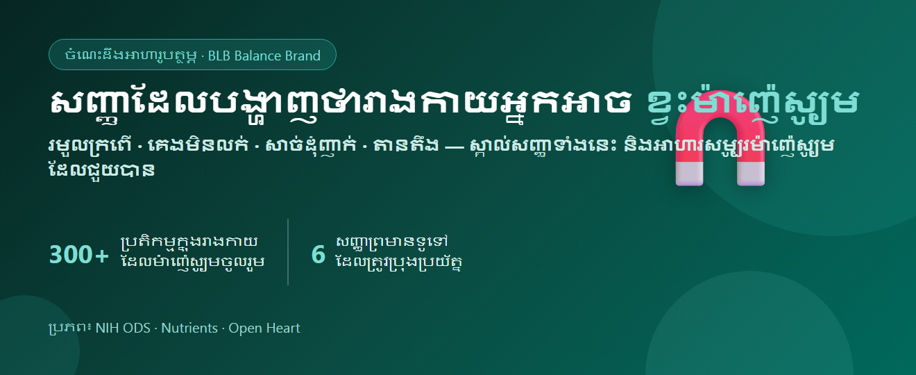 សញ្ញានៃការខ្វះម៉ាញ៉េស្យូម៖ រោគសញ្ញា អ្នកដែលមានហានិភ័យ និងអាហារសម្បូរម៉ាញ៉េស្យូម | BLB