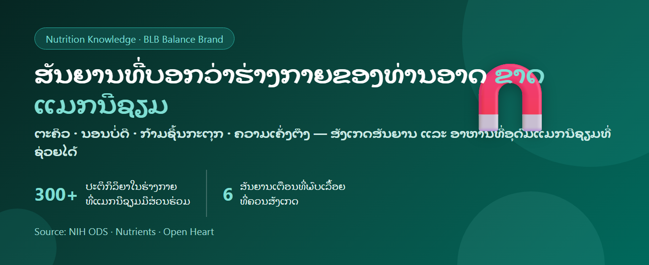 ສັນຍານຂາດແມກນີຊຽມ: ອາການ, ໃຜສ່ຽງ ແລະ ອາຫານທີ່ອຸດົມດ້ວຍແມກນີຊຽມ | BLB