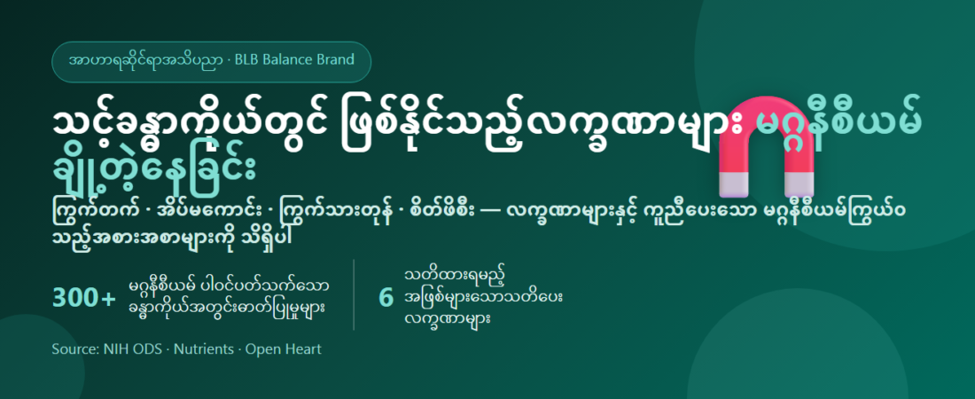မဂ္ဂနီဆီယမ် ချို့တဲ့ခြင်း၏ လက္ခဏာများ — ရောဂါလက္ခဏာ၊ ဘယ်သူတွေ အန္တရာယ်ရှိသလဲ နှင့် မဂ္ဂနီဆီယမ်ကြွယ်ဝသော အစားအစာများ | BLB