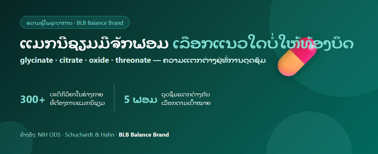 ແມກນີຊຽມມີຈັກຟອມ? glycinate citrate oxide threonate ຕ່າງກັນແນວໃດ ເລືອກໃຫ້ຄຸ້ມ | BLB