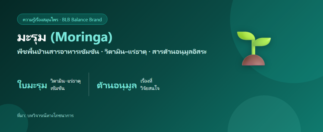 มะรุม (Moringa) คืออะไร? พืชสารอาหารสูงกับวิตามินและสารต้านอนุมูลอิสระ