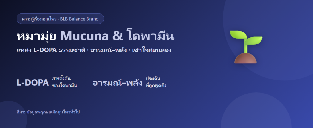หมามุ่ย (Mucuna) กับ L-DOPA และโดพามีน คืออะไร? เข้าใจแบบเป็นกลางก่อนลอง