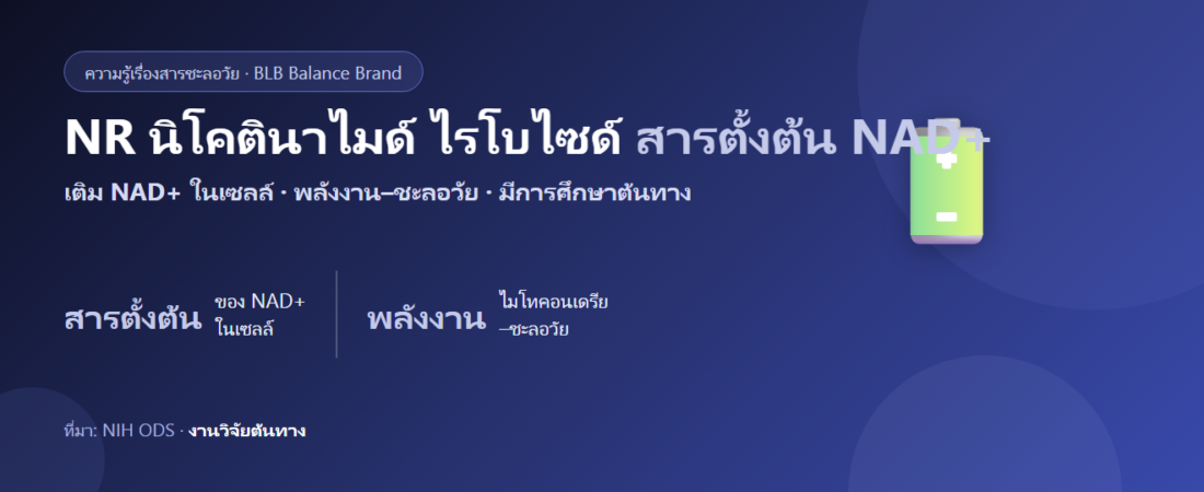 NR (นิโคตินาไมด์ ไรโบไซด์) คืออะไร? สารตั้งต้น NAD+ ชะลอวัย–พลังงานเซลล์ ตามงานวิจัยต้นทาง