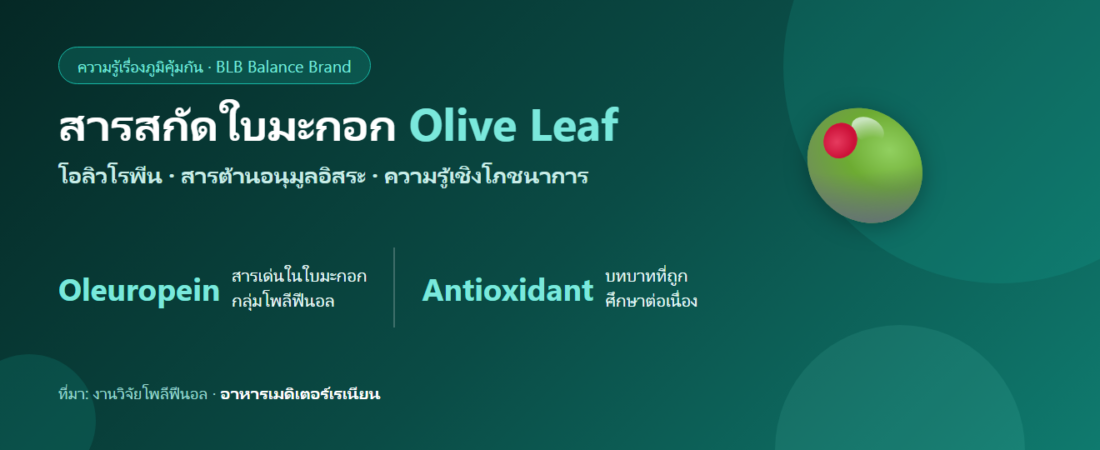 สารสกัดใบมะกอก (Olive Leaf) กับภูมิคุ้มกันและสารต้านอนุมูลอิสระ