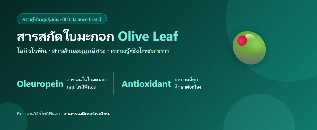สารสกัดใบมะกอก (Olive Leaf) กับภูมิคุ้มกันและสารต้านอนุมูลอิสระ