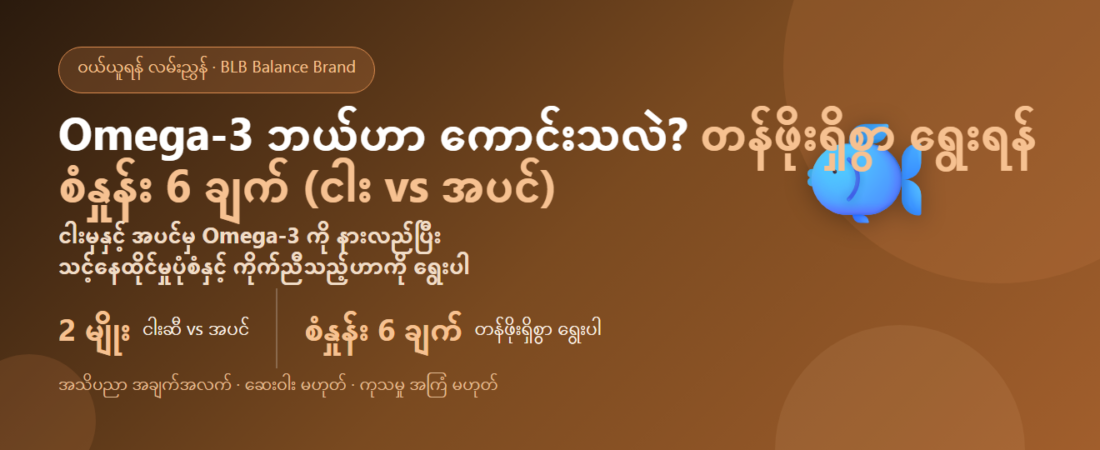 Omega-3 ဘယ်ဟာ ကောင်းသလဲ? တန်ဖိုးရှိစွာ ရွေးရန် စံနှုန်း 6 ချက် (ငါးဆီ vs အပင်) | BLB