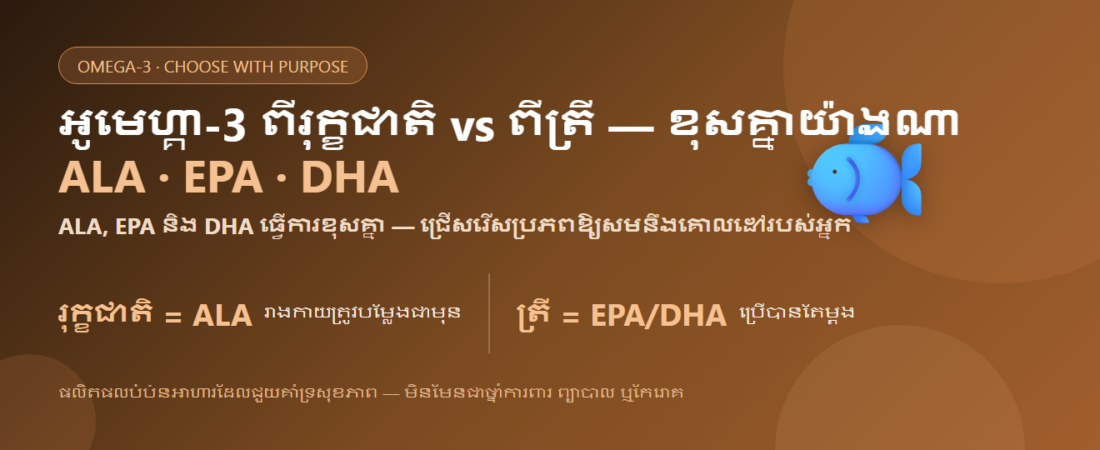អូមេហ្គា-៣ ពីរុក្ខជាតិ vs ពីត្រី ខុសគ្នាយ៉ាងណា? (ALA · EPA · DHA) | BLB