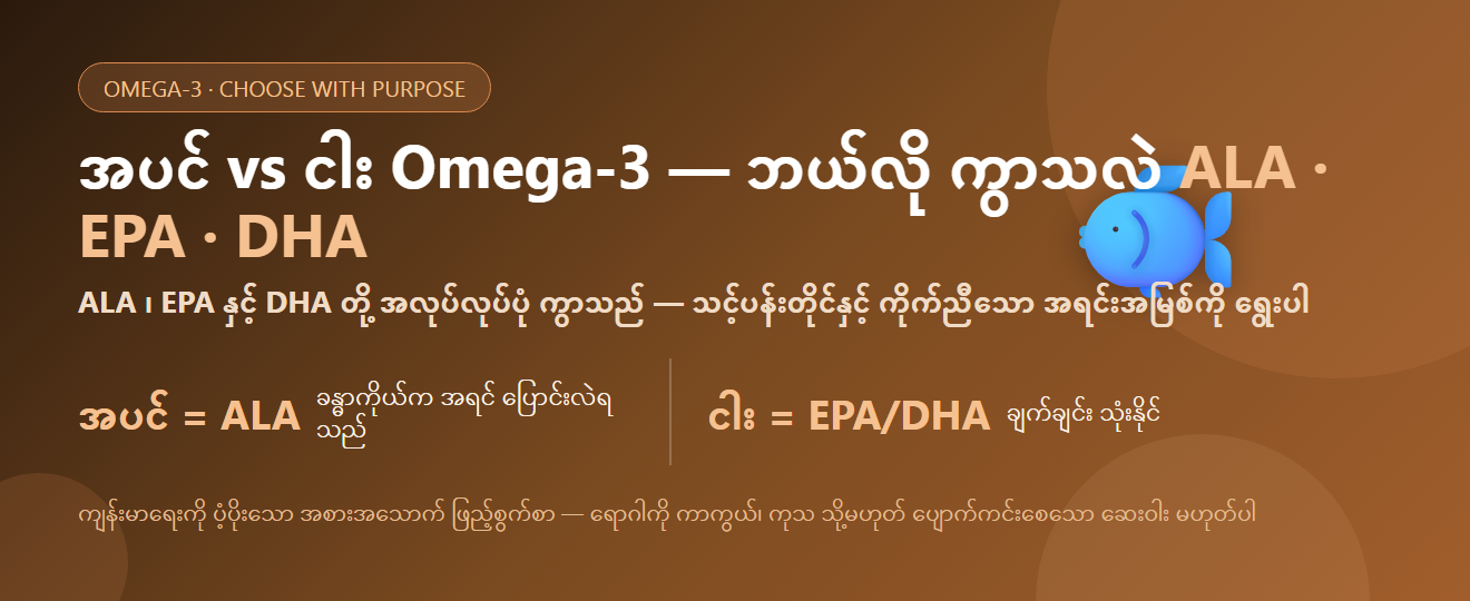 အပင် နှင့် ငါး Omega-3 — ဘာကွာခြားသလဲ။ ALA · EPA · DHA ရွေးချယ်နည်း | BLB