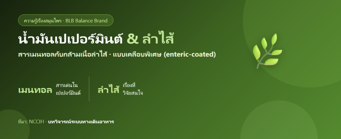 น้ำมันเปเปอร์มินต์กับลำไส้แปรปรวน (IBS) งานวิจัยว่าไง และใช้ยังไง