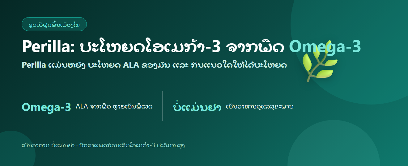 ແກ່ນ Perilla: ຜົນປະໂຫຍດ Omega-3 ຈາກພືດ ແລະ ວິທີກິນ