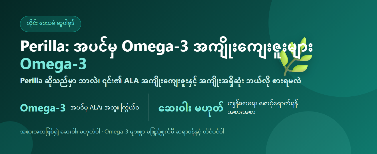 Perilla အစေ့ — အပင်မှ Omega-3 အကျိုးကျေးဇူးများနှင့် စားသုံးနည်း