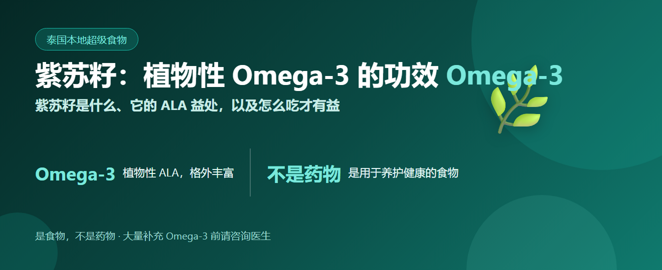 紫苏籽：植物性 Omega-3 的功效与食用方法