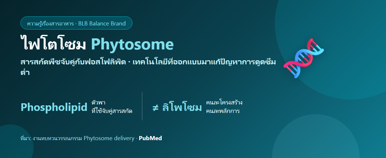 ไฟโตโซม (Phytosome) คืออะไร? เทคโนโลยีจับคู่สารสกัดพืชกับฟอสโฟลิพิดเพื่อการดูดซึม