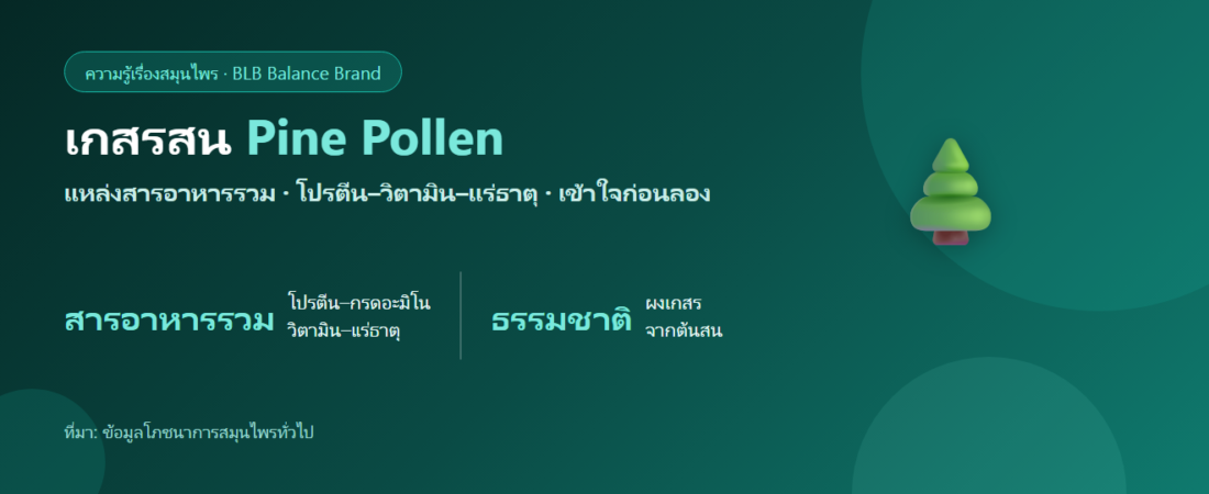 เกสรสน (Pine Pollen) คืออะไร? แหล่งสารอาหาร–พลังงานตามธรรมชาติ ที่ควรรู้ก่อนลอง