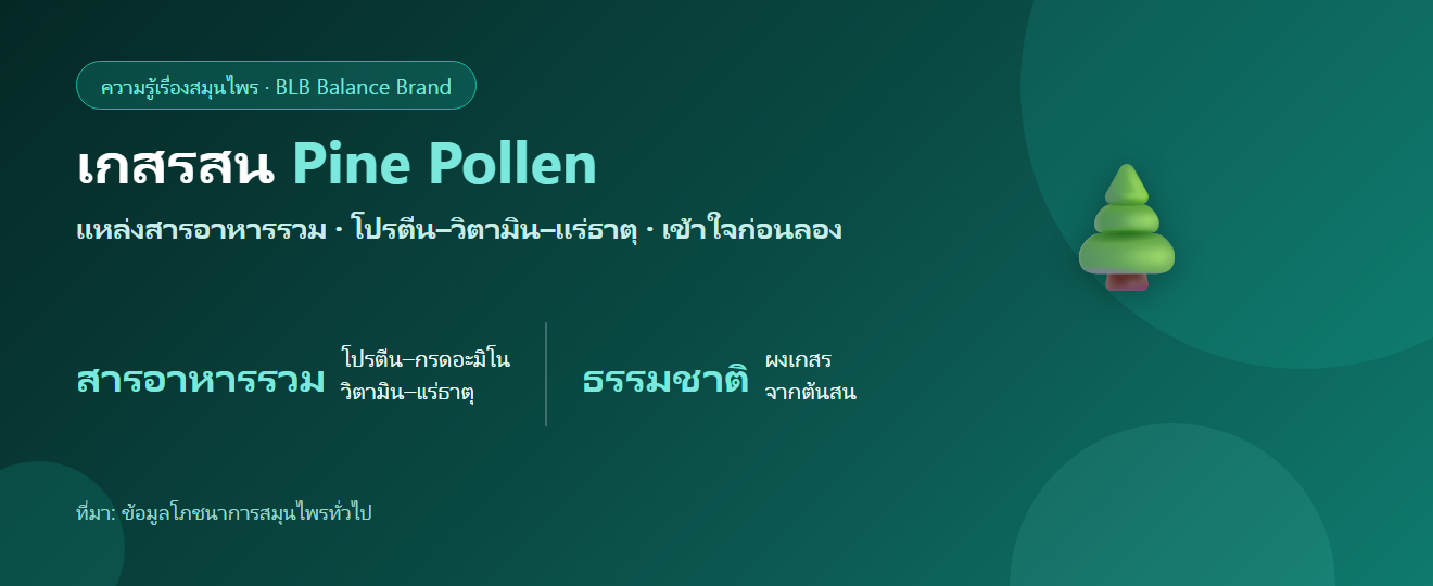 เกสรสน (Pine Pollen) คืออะไร? แหล่งสารอาหาร–พลังงานตามธรรมชาติ ที่ควรรู้ก่อนลอง