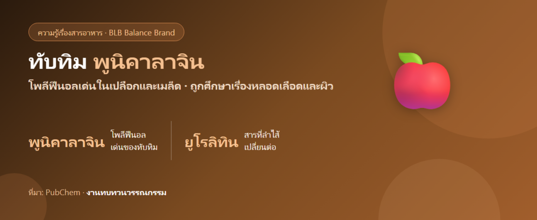 ทับทิม (Pomegranate) มีดีอะไร? พูนิคาลาจินกับสารต้านอนุมูลอิสระในผลไม้เม็ดแดง