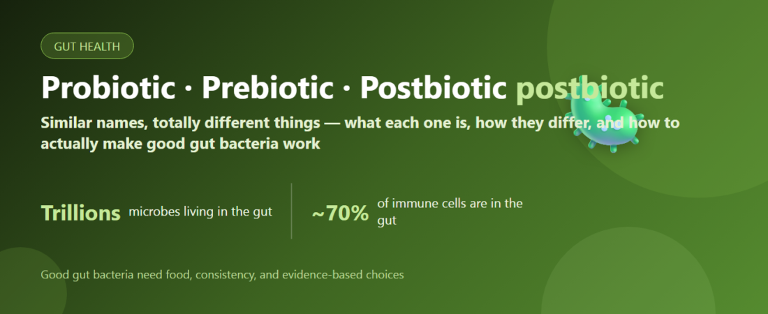 Probiotic vs Prebiotic vs Postbiotic: What’s the Difference and How to Take Them | BLB