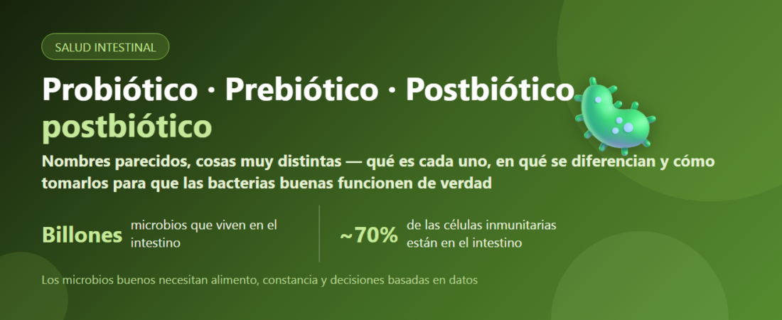 Probiótico vs Prebiótico vs Postbiótico: en qué se diferencian y cómo tomarlos | BLB