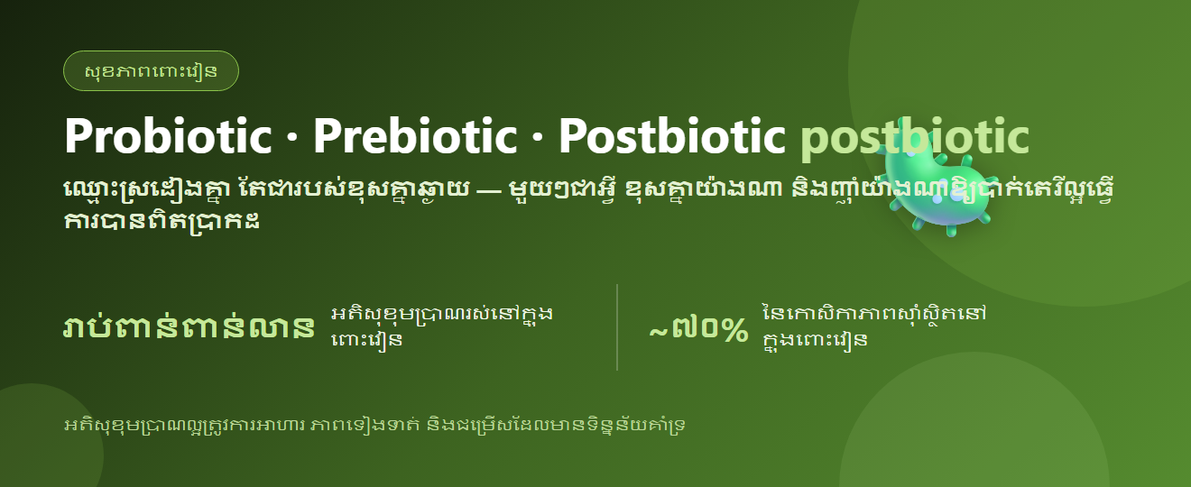 Probiotic vs Prebiotic vs Postbiotic — ខុសគ្នាយ៉ាងណា និងញ៉ាំយ៉ាងណា | BLB