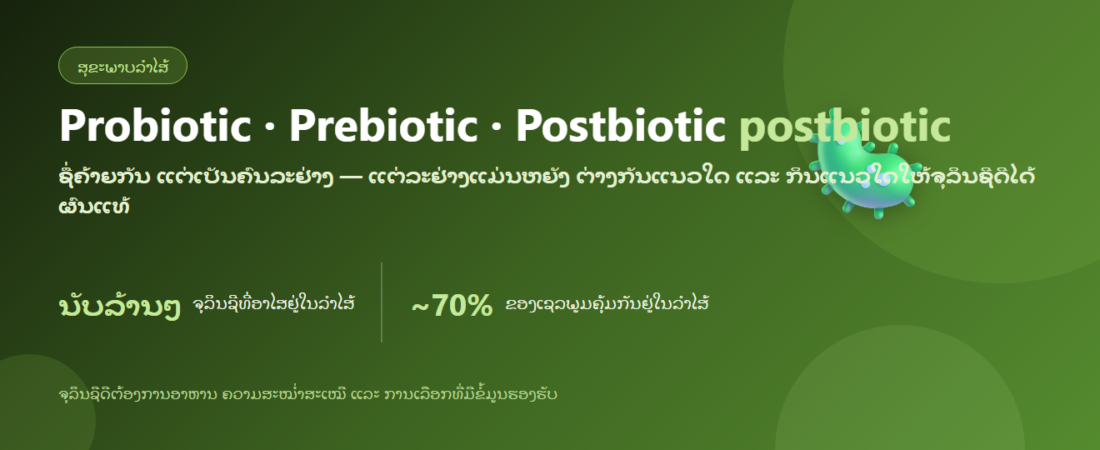 Probiotic vs Prebiotic vs Postbiotic — ຕ່າງກັນແນວໃດ ແລະ ກິນແນວໃດ | BLB