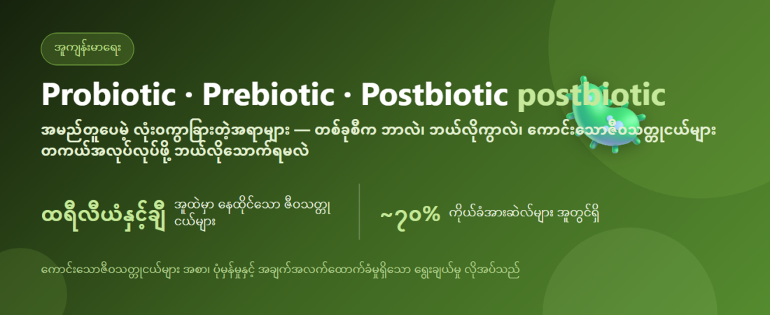 Probiotic vs Prebiotic vs Postbiotic — ဘယ်လိုကွာလဲ၊ ဘယ်လိုသောက်ရမလဲ | BLB