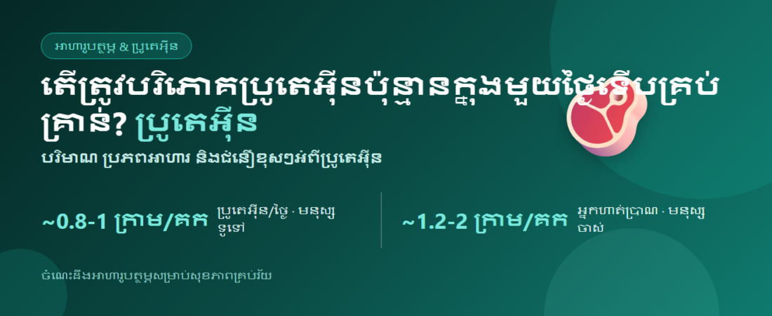 តើត្រូវបរិភោគប្រូតេអ៊ីនប៉ុន្មានក្នុងមួយថ្ងៃទើបគ្រប់គ្រាន់? បរិមាណ ប្រភព និងជំនឿខុស | BLB