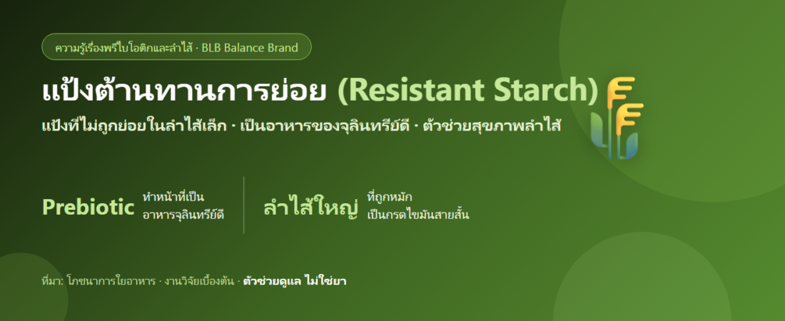 แป้งต้านทานการย่อย (Resistant Starch) พรีไบโอติกกับลำไส้
