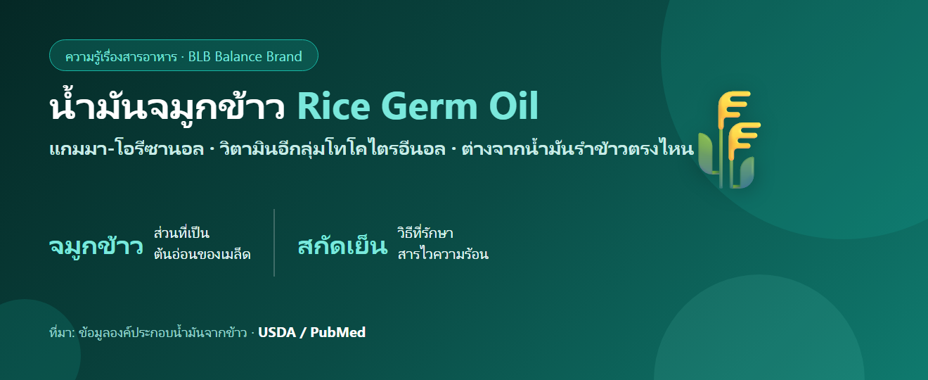 น้ำมันจมูกข้าว (Rice Germ Oil) คืออะไร? แกมมา-โอรีซานอลกับวิตามินอีในเมล็ดข้าว