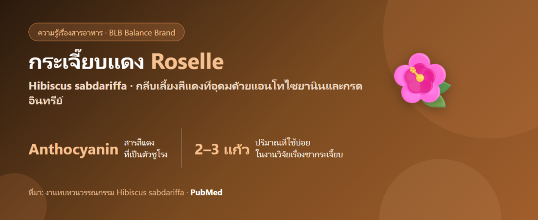 กระเจี๊ยบแดง (Roselle) คืออะไร? แอนโทไซยานินกับงานวิจัยเรื่องความดันและข้อควรระวัง
