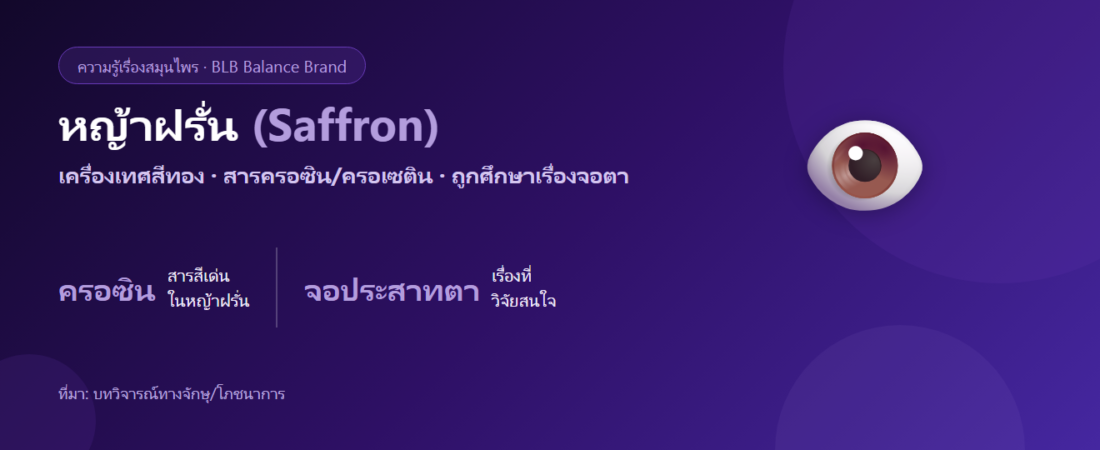 หญ้าฝรั่น (Saffron) กับดวงตา งานวิจัยเรื่องจอประสาทตาว่าไง