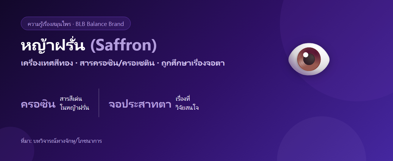 หญ้าฝรั่น (Saffron) กับดวงตา งานวิจัยเรื่องจอประสาทตาว่าไง