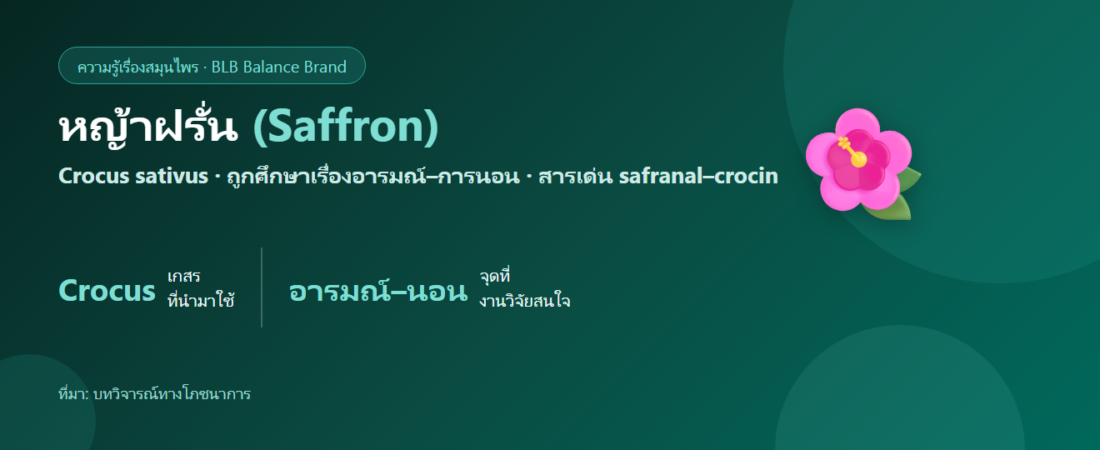 หญ้าฝรั่น (Saffron) คืออะไร? สมุนไพรที่ถูกศึกษาเรื่องอารมณ์และการนอน