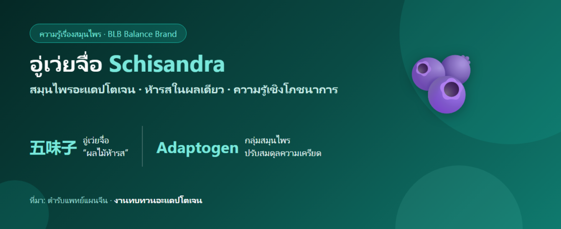 สมุนไพรอู่เว่ยจื่อ (Schisandra) สมุนไพรอะแดปโตเจน