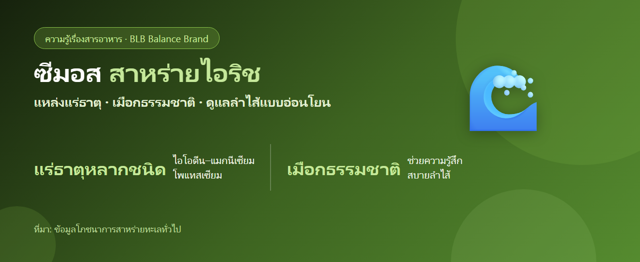 ซีมอส (Sea Moss) สาหร่ายไอริช คืออะไร? แร่ธาตุ–เมือกธรรมชาติกับการดูแลลำไส้