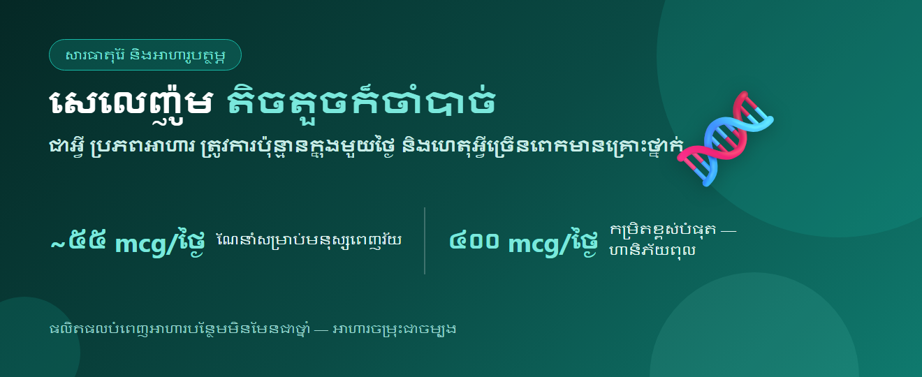 សេលេញ៉ូម៖ ប្រយោជន៍ ប្រភពអាហារ និងត្រូវការប៉ុន្មានក្នុងមួយថ្ងៃ (និងហេតុអ្វីច្រើនពេកមានគ្រោះថ្នាក់)