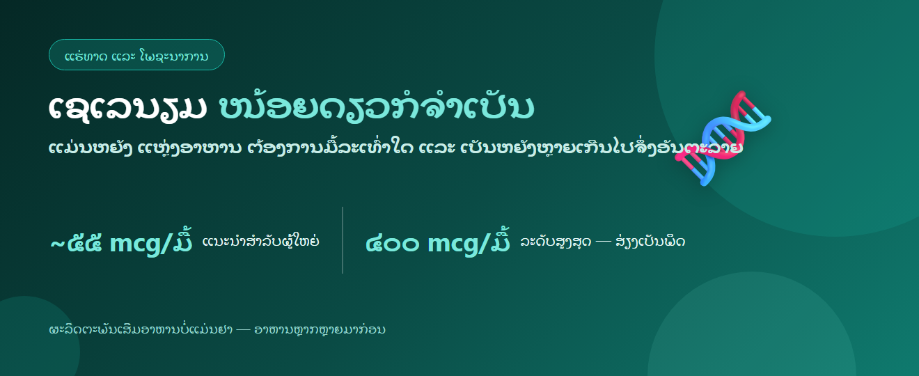 ເຊເລນຽມ: ປະໂຫຍດ ແຫຼ່ງອາຫານ ແລະ ຕ້ອງການມື້ລະເທົ່າໃດ (ແລະ ເປັນຫຍັງຫຼາຍເກີນໄປຈຶ່ງອັນຕະລາຍ)