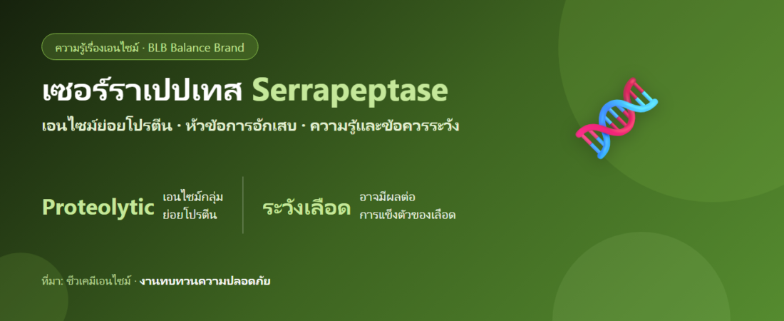 เซอร์ราเปปเทส เอนไซม์ที่ถูกศึกษาเรื่องการอักเสบ — ความรู้และข้อควรระวัง