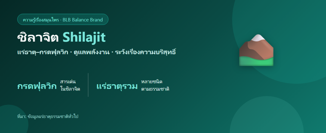 ชิลาจิต (Shilajit) คืออะไร? แร่ธาตุ–กรดฟุลวิกกับพลังงาน และเรื่องความบริสุทธิ์ที่ต้องรู้