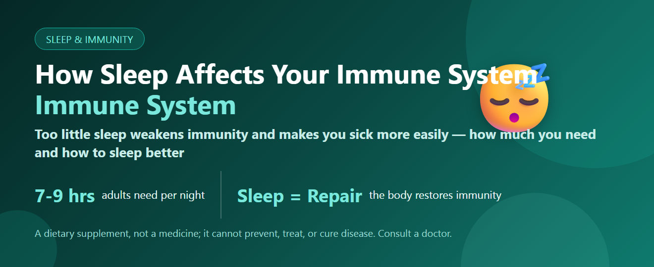 How Sleep Affects Your Immune System: Why Rest Matters