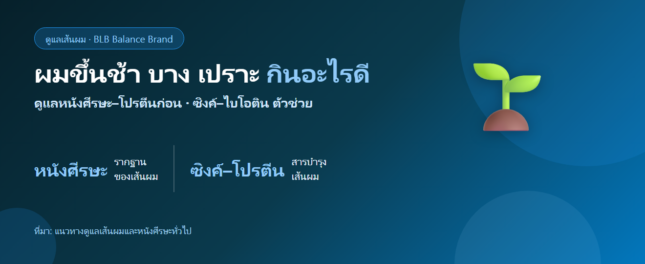 ผมขึ้นช้า บาง เปราะ กินอะไรดี? ดูแลหนังศีรษะและเส้นผมจากภายใน