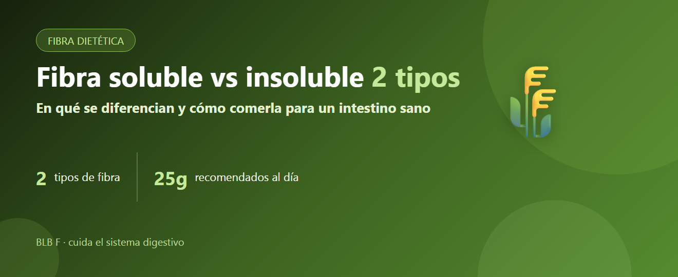 Fibra soluble vs insoluble: en qué se diferencian y cómo comerla para un intestino sano | BLB