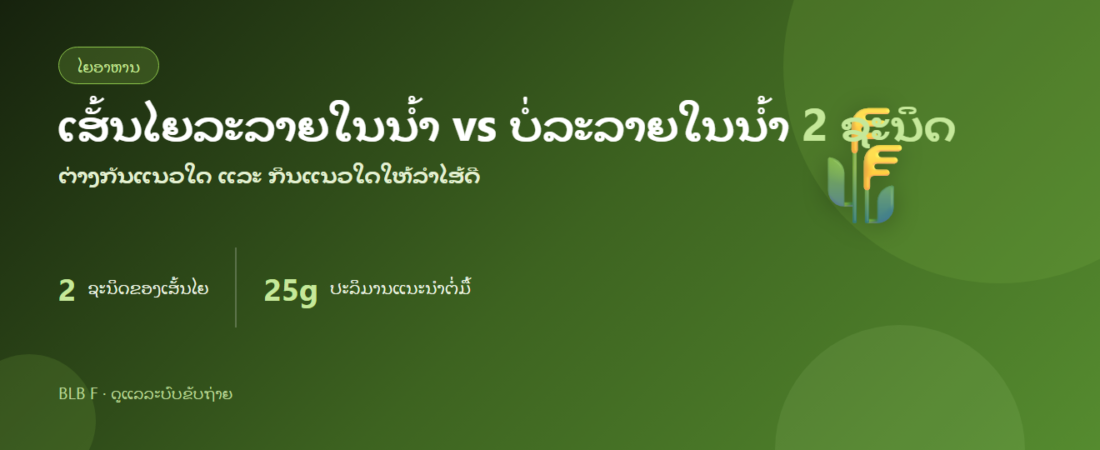 ເສັ້ນໄຍລະລາຍໃນນ້ຳ vs ບໍ່ລະລາຍໃນນ້ຳ: ຕ່າງກັນແນວໃດ ແລະ ກິນແນວໃດໃຫ້ລຳໄສ້ດີ | BLB