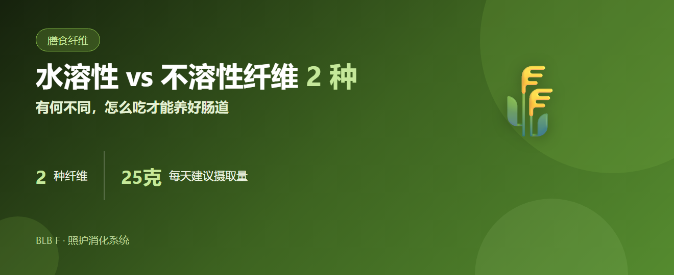 水溶性 vs 不溶性纤维：有何不同、怎么吃才能养好肠道 | BLB