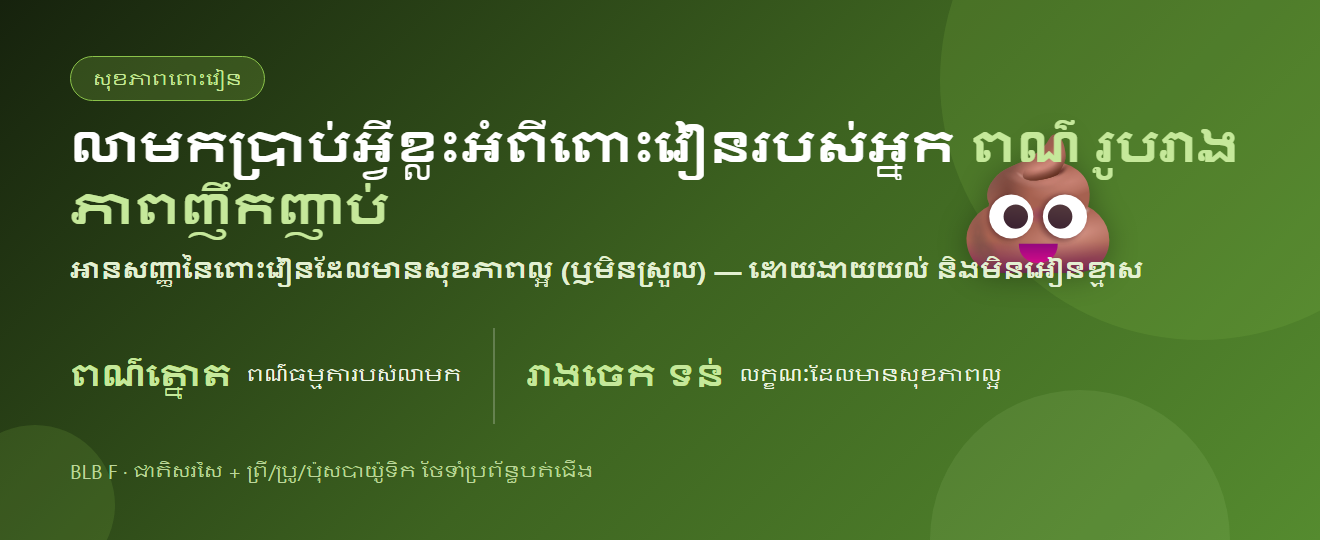 លាមក និងសុខភាពពោះវៀន៖ ពណ៌ រូបរាង និងភាពញឹកញាប់ | BLB