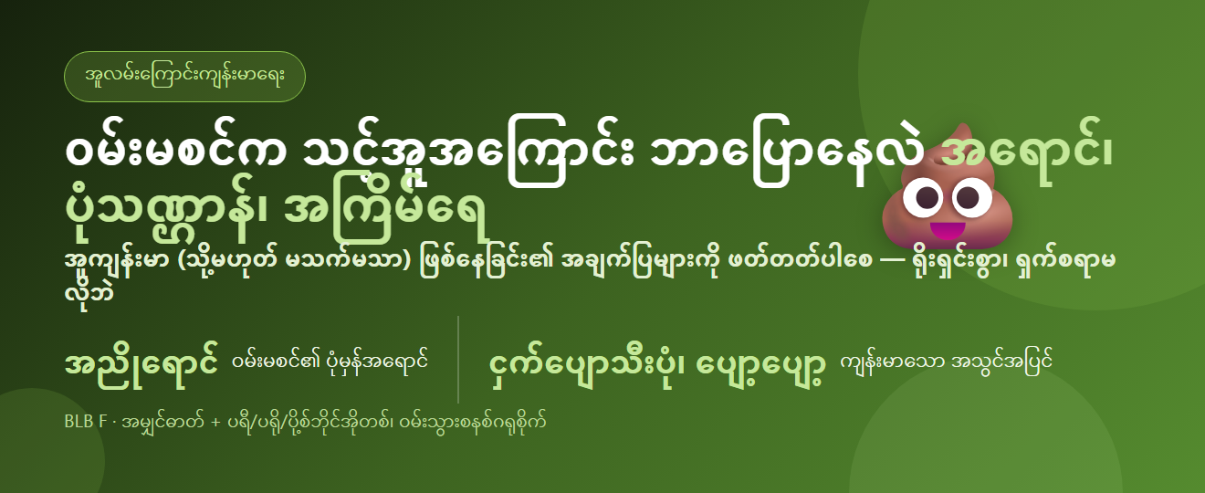 ဝမ်းမစင်နှင့် အူလမ်းကြောင်းကျန်းမာရေး — အရောင်၊ ပုံသဏ္ဌာန်၊ အကြိမ်ရေ | BLB