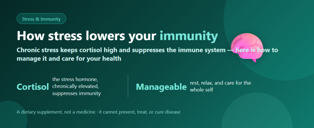 Stress and Immunity: How Chronic Stress Affects Your Immune System | BLB